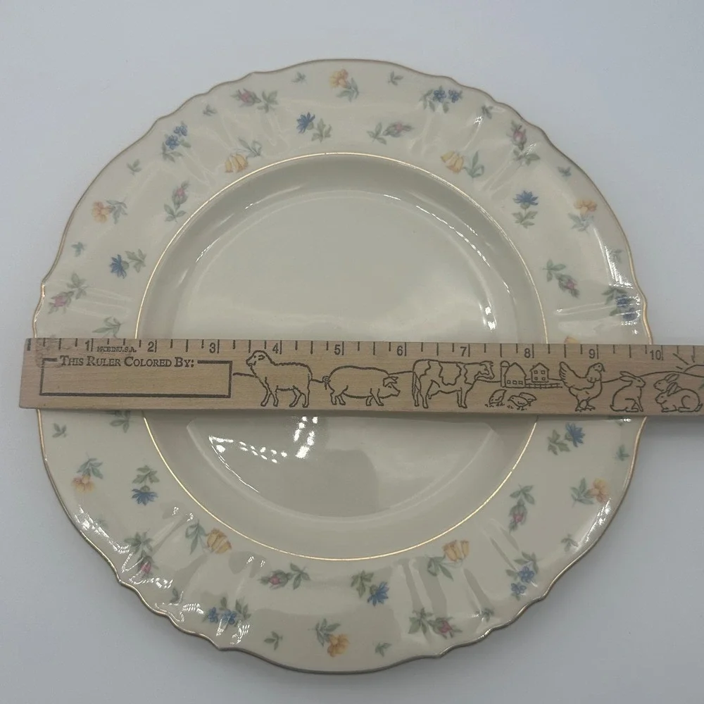 4 set Vintage Syracuse China Suzanne Federal Shape Dinner Plates 10in